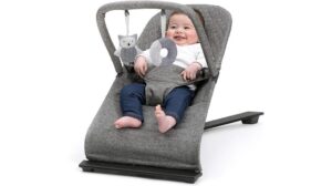 gravity baby bouncer review