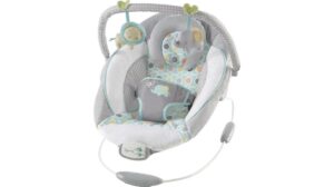 ingenuity baby bouncer review